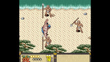 Aero The Acro-Bat Legacy + Sunsoft Lost Gems – Nintendo Switch – supplerende produktillustration 12
