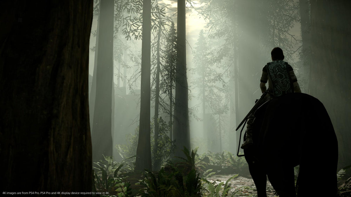 Shadow of the Colossus – PS4 – produktdetalje 7