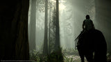 Shadow of the Colossus – PS4 – produktdetalje 7