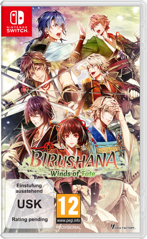 Birushana: Winds of Fate – omslag til Nintendo Switch