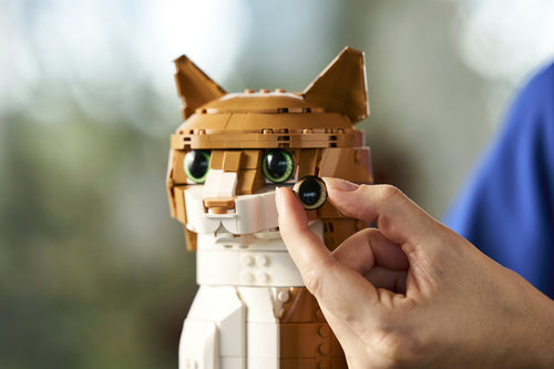 LEGO - LEGO Ideas - Orange Cat (21376.) Lego