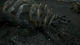 Death Stranding (Nordic) – PS4 – produktdetalje 9