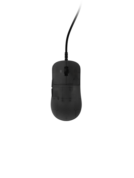 PGW - EGG Endgame Gear OP1 8K V2 – Kablet Gaming Mus (Dark Frost)