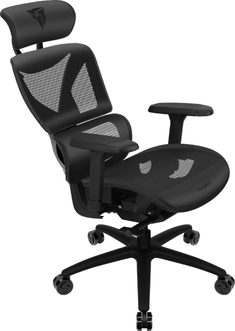 ThunderX3 YTC Mesh Black - Sync5, 125 kg max, 2d armest, class 4 gaslift