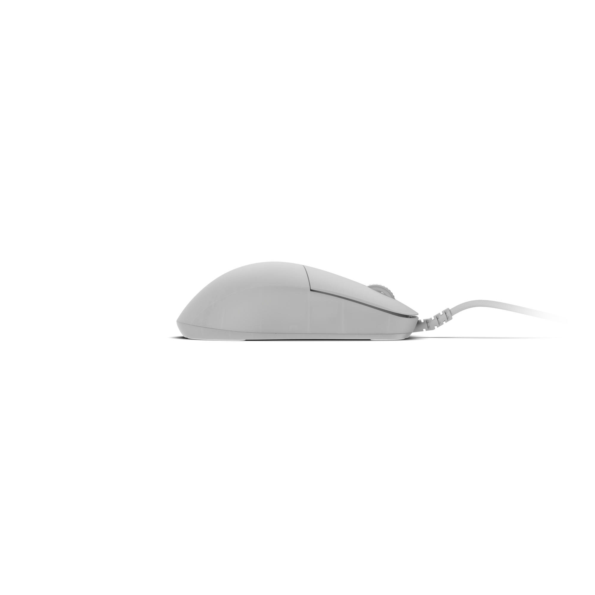 Endgame Gear XM2 8K V2 – Kablet Gaming Mus (White Frost)