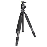 Rollei Rock Solid Beta Mark II stativ Rollei