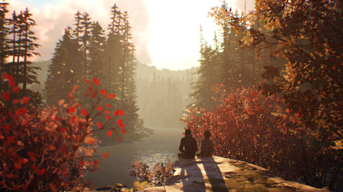 Life is Strange 2 – PlayStation 4 – skærmbillede fra spillet