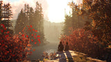Life is Strange 2 – PlayStation 4 – skærmbillede fra spillet