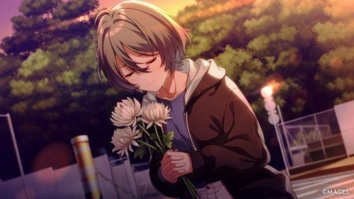 Since Memories: Off the Starry Sky – Nintendo Switch – produktbillede 5