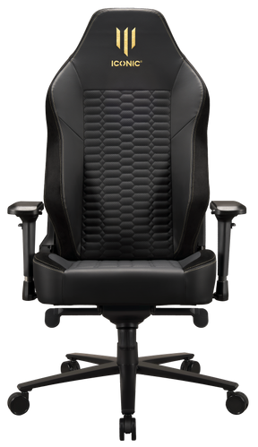 Apollon Classic / Gold Top Black seat + Gold logo Subsonic