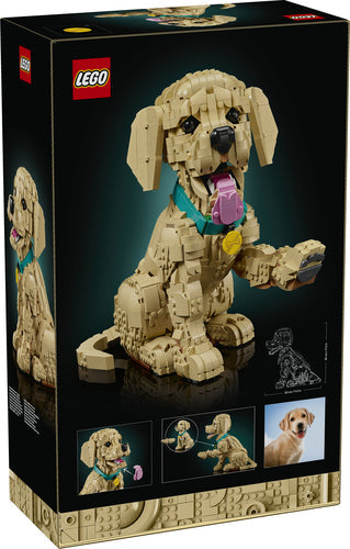 LEGO 11384 Icons - Szczeniak golden retriever Lego