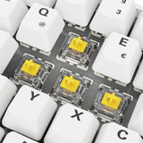 Sharkoon SKILLER SGK50 S4 Gen2 PBT (white, DE layout, Gateron G Pro 3.0 Yellow) Sharkoon