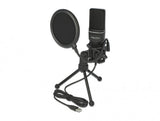 Delock USB Kondensator Mikrofon Set - für Podcasting, Gaming und Gesang DeLOCK