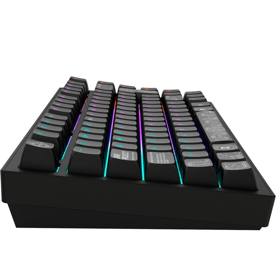 Dark Project - Nova Sort 81 RGB