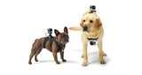 GoPro - Fetch GoPro
