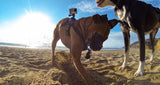 GoPro - Fetch GoPro