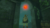 The Legend of Zelda: Tears of the Kingdom Nintendo