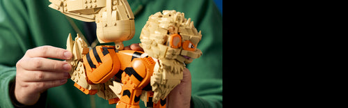 LEGO - Pokémon - Arcanine (72160)