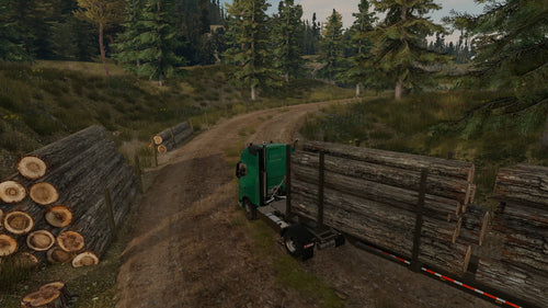 Truck Driver: Gold Edition Soedesco