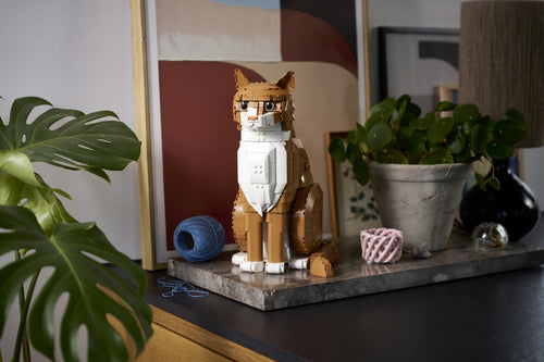 LEGO - LEGO Ideas - Orange Cat (21376.) Lego