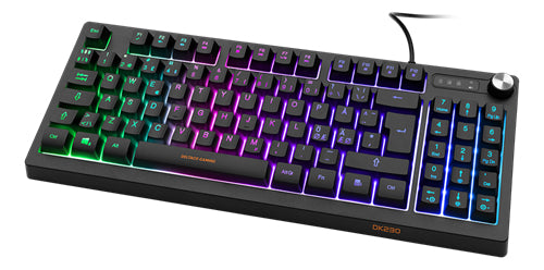 DELTACO GAMING DK230 Tastatur Membran RGB Kabling Pan Nordic Deltaco