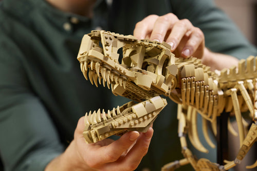 LEGO Jurassic World - Dinosaurier-Foss Lego