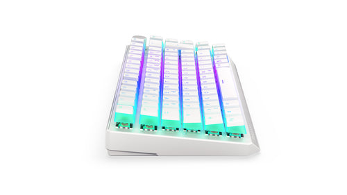 ENDORFY Thock 75% Wireless Onyx White (wei. DE-Layout. Kailh Box Black)