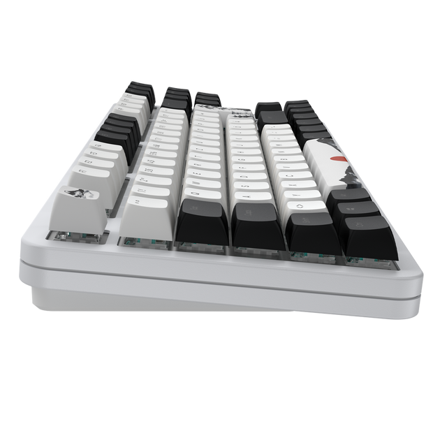 Dark Project - Fuji V2 - RGB - Metal base – Geekd