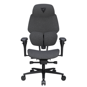 ThunderX3 Flex Pro Loft Dark Grey Aerocool Advanced Technologies Co., LTD (TX3)