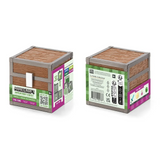 Loot Chest - The End - Minecraft