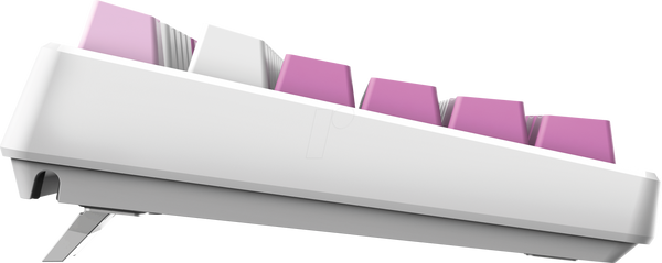 MSI FORGE GK600 TKL Wireless Violet – tysk QWERTZ