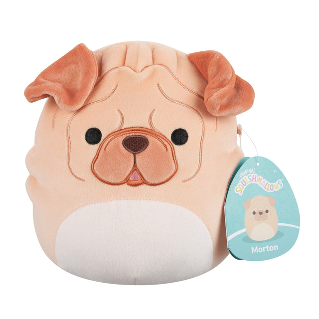 Squishmallows - 19 cm Plush P22 - Morton Sharpei Squishmallows