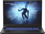 ERAZER Defender P40 MD62522 i7-13700HX 16G 1T RTX4060 8G