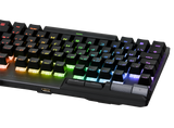 ASUS ROG Strix FLARE II ANIMATE PBT Gaming Keyboard (NX Red Switches)