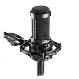 Audio Technica - AT2035 Microphone