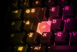 Steelseries - Apex 3 TKL Gaming Tastatur Steelseries